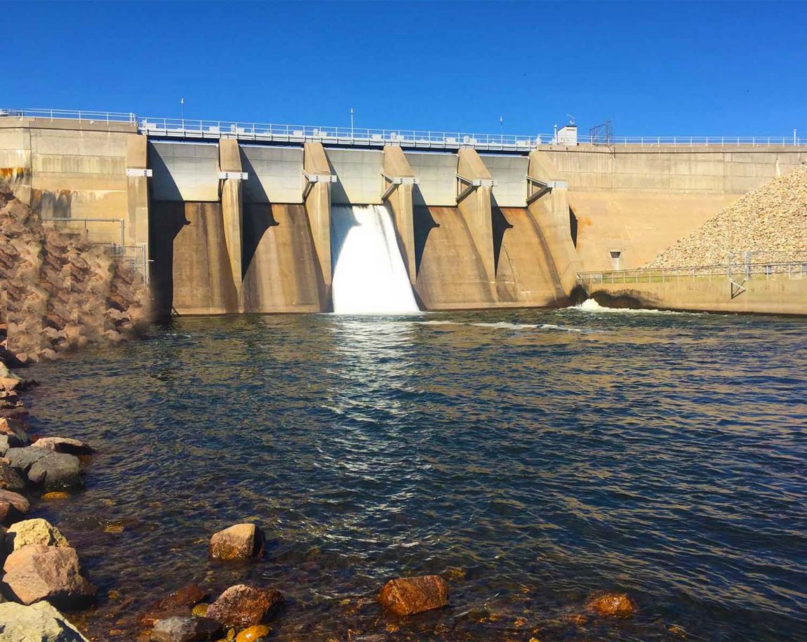 Tailwater Assortment