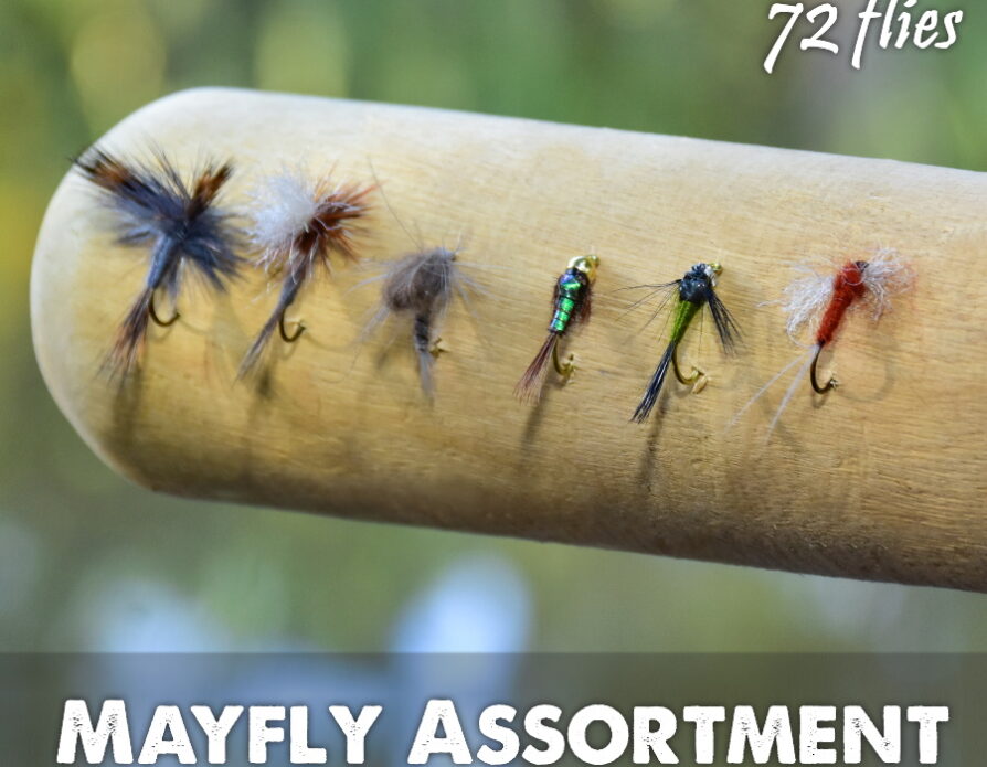 Mayfly Lifecycle Assortment