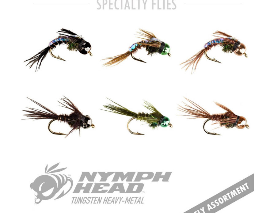 Nymph-Head Pheasant Tail (6 pack)